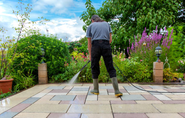 Best Animal Enclosure Cleaning  in North Hills, NY